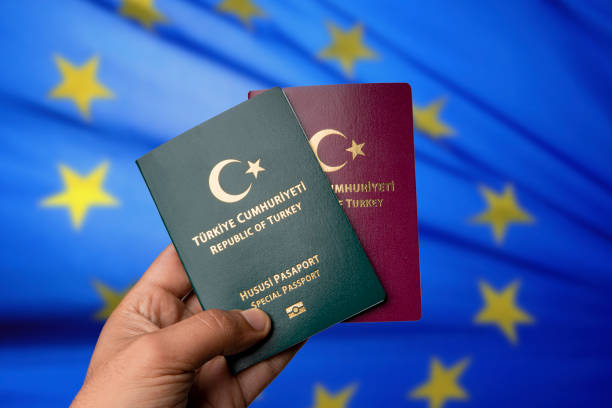Turkish passport application