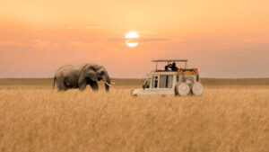 Kenya Luxury Safaris